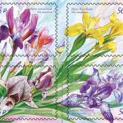 Jigsaw puzzle: Flora of Russia