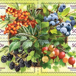 Jigsaw puzzle: Flora of Russia