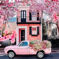 Jigsaw puzzle: Pink spring