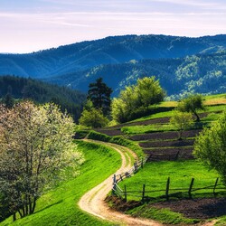 Jigsaw puzzle: Spring road