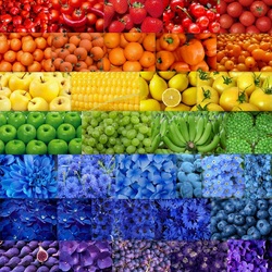 Jigsaw puzzle: Plant rainbow