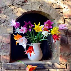 Jigsaw puzzle: Tulips in a niche