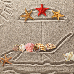 Jigsaw puzzle: Seashells on sand drawing