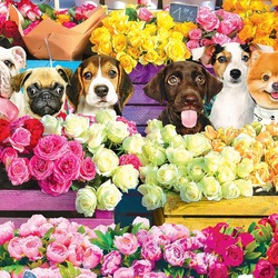 Jigsaw puzzle: Flower market puppies