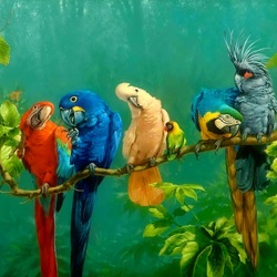 Jigsaw puzzle: Colorful parrots