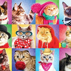 Jigsaw puzzle: Funny cats