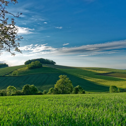 Jigsaw puzzle: Green fields and hills