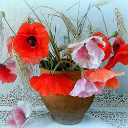 Jigsaw puzzle: The color is softer than silk poppies