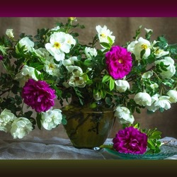 Jigsaw puzzle: Bouquet of garden roses