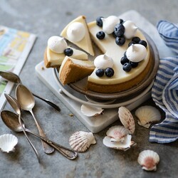 Jigsaw puzzle: Cake and shells