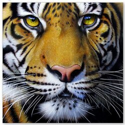 Jigsaw puzzle: Tiger gaze