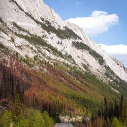 Jigsaw puzzle: Road nearby Banff