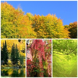 Jigsaw puzzle: Autumn sketches