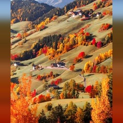 Jigsaw puzzle: Autumn in the Carpathians