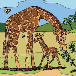 Jigsaw puzzle: giraffes