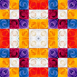 Jigsaw puzzle: Rose kaleidoscope