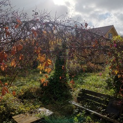 Jigsaw puzzle: Autumn in the village