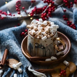 Jigsaw puzzle: Cocoa with marshmallows