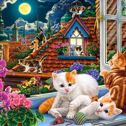 Jigsaw puzzle: Night games
