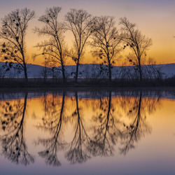 Jigsaw puzzle: Reflection in the evening pond