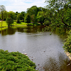 Jigsaw puzzle: Pond in the park