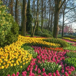 Jigsaw puzzle: Spring mood