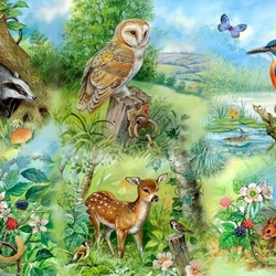 Jigsaw puzzle: Fauna