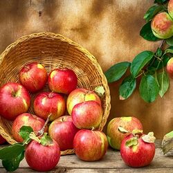 Jigsaw puzzle: Rosy apples