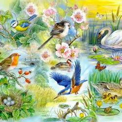 Jigsaw puzzle: Bird world