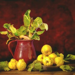 Jigsaw puzzle: Quince aroma