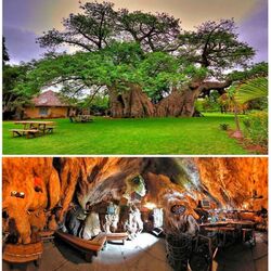 Jigsaw puzzle: Bar in Baobab