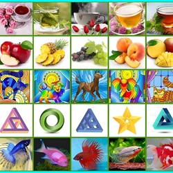 Jigsaw puzzle: Collage