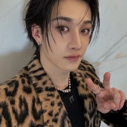 Jigsaw puzzle: Bang Chan