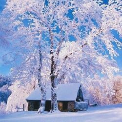 Jigsaw puzzle: Zimushka