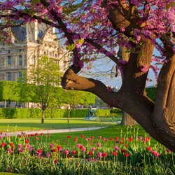 Jigsaw puzzle: Spring bloom