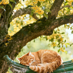 Jigsaw puzzle: Sleeping cat