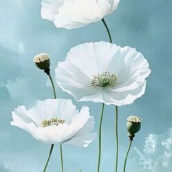 Jigsaw puzzle: Oh those poppies