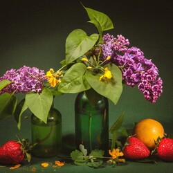 Jigsaw puzzle: Lilac branches