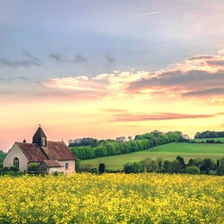 Jigsaw puzzle: Fields
