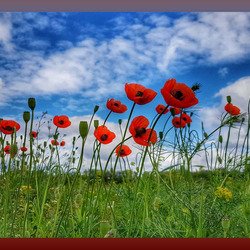 Jigsaw puzzle: Look at eternity