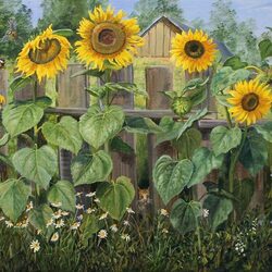 Jigsaw puzzle: Sunflowers