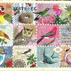 Jigsaw puzzle: Birds