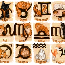 Jigsaw puzzle: Zodiac signs