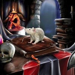Jigsaw puzzle: His rat rat Clement