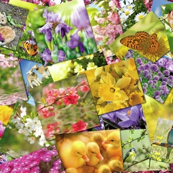 Jigsaw puzzle: Spring