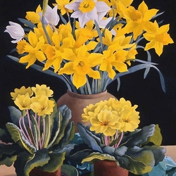 Jigsaw puzzle: Bright daffodils