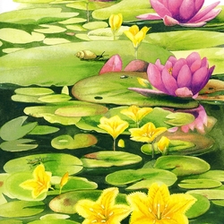 Jigsaw puzzle: Lotus backwater