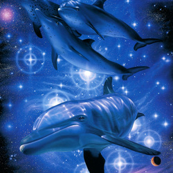 Jigsaw puzzle: Star dolphins