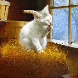 Jigsaw puzzle: White cat at the window