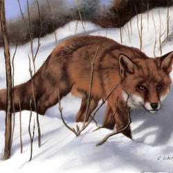 Jigsaw puzzle: Fox in the snow